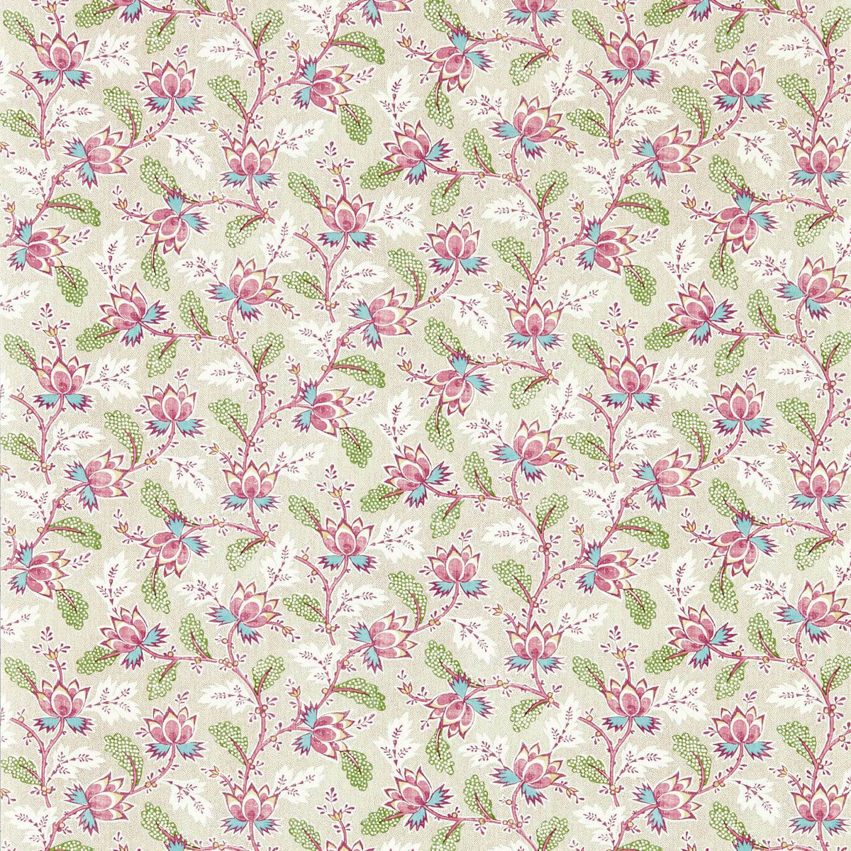 Dallimore - Wild Rose