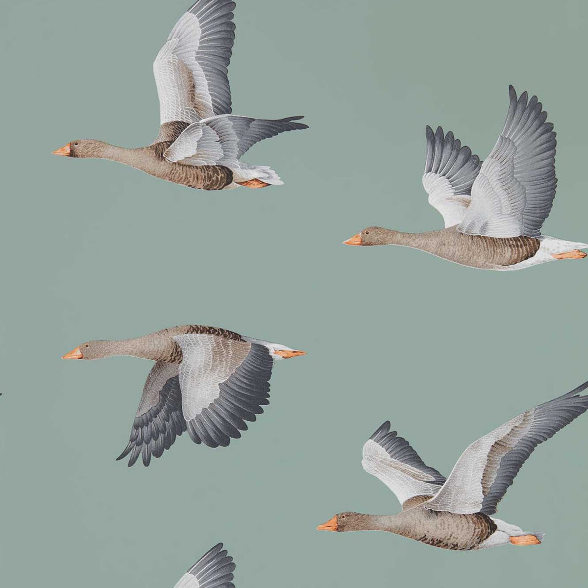 Elysian Geese - Blue Clay