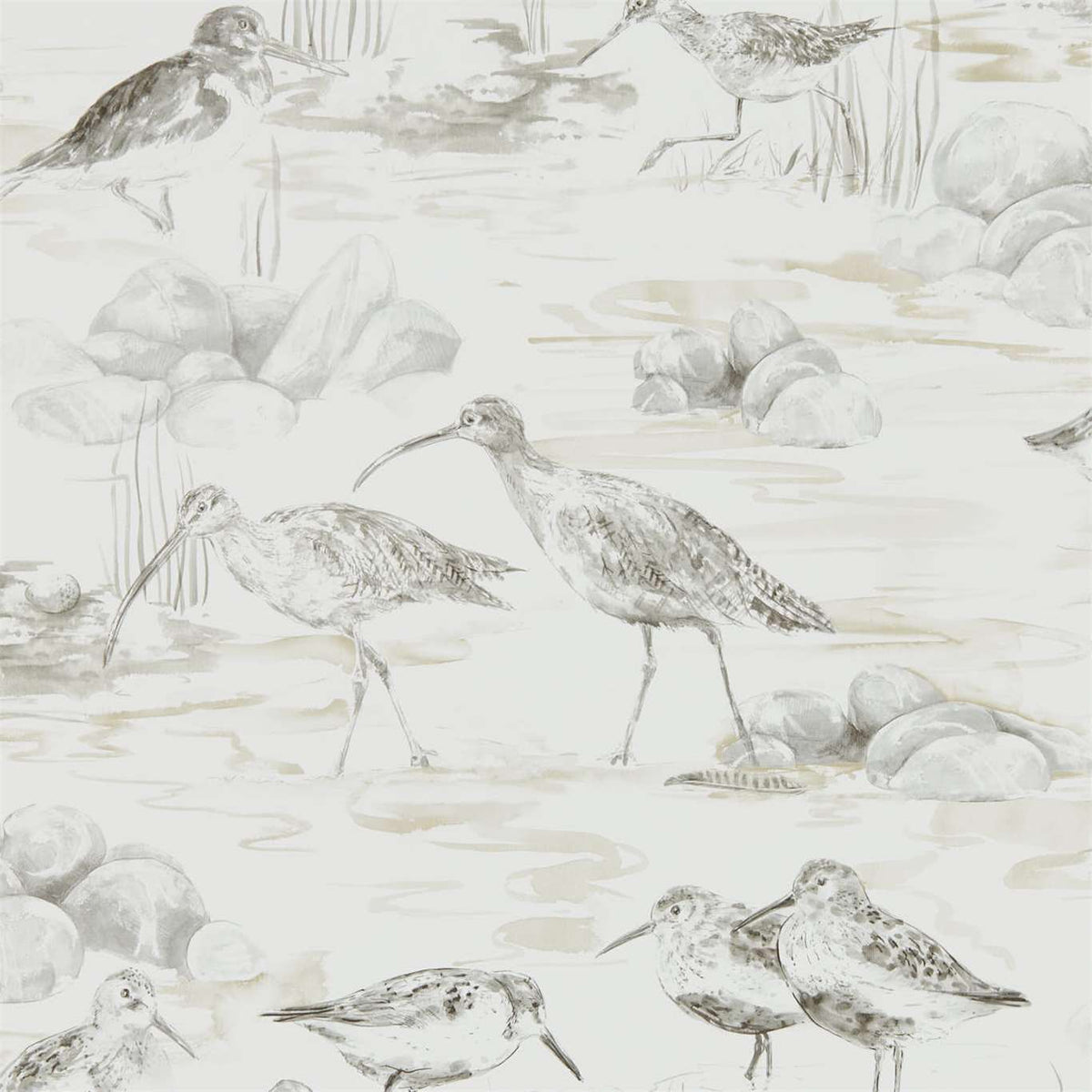 Estuary Birds - Chalk/Sepia