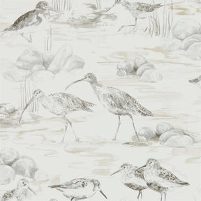Estuary Birds - Chalk/Sepia