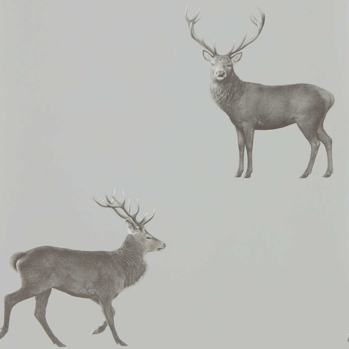 Evesham Deer - Silver Grey