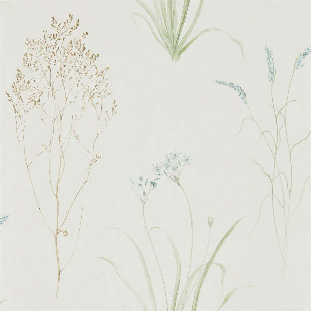 Farne Grasses - Cream/Sage