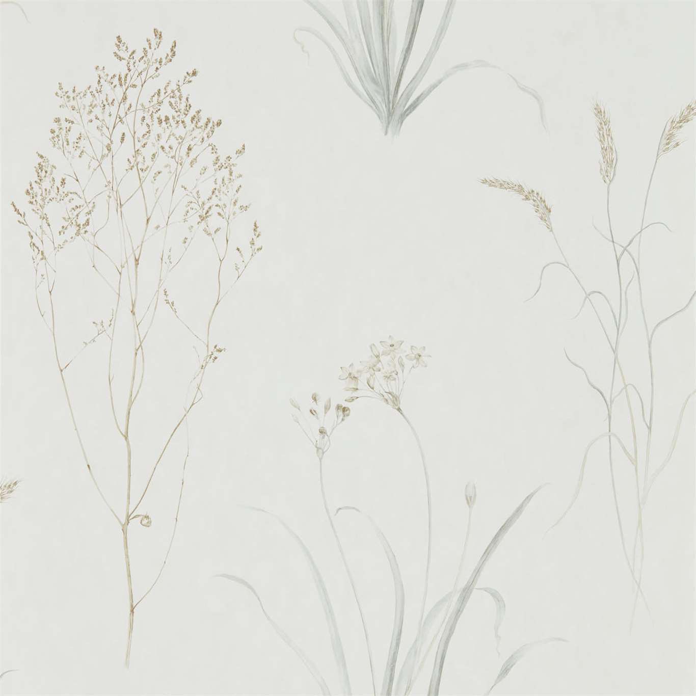 Farne Grasses - Silver/Ivory