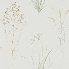 Farne Grasses - Willow/Pebble