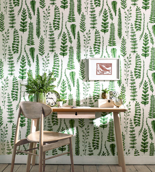 Ferns - Juniper