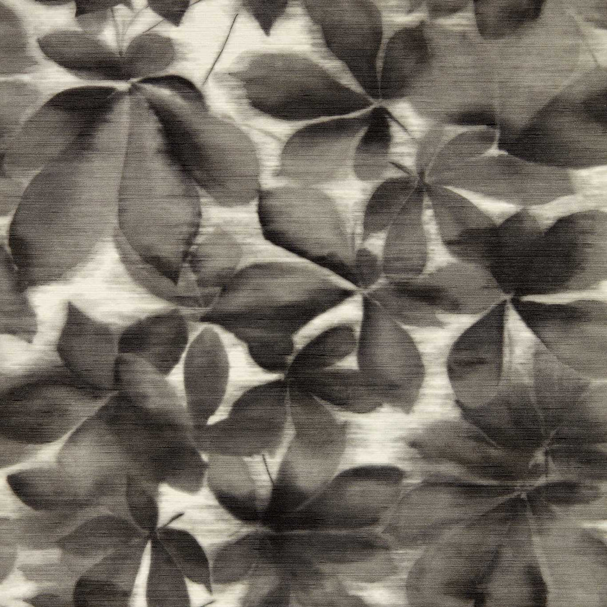 Grounded - Black Earth/Parchment