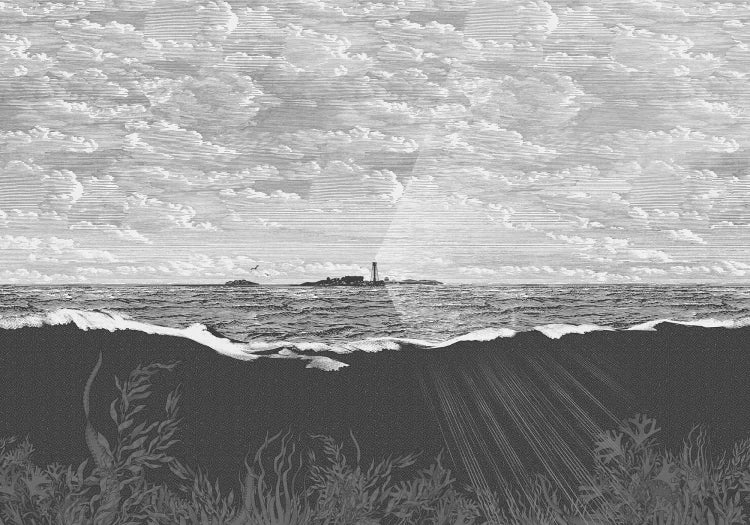 Guiding Light - Graphite
