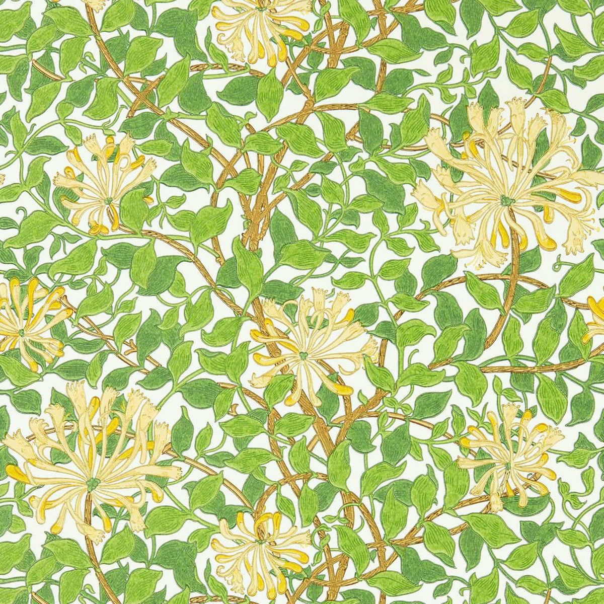 Honeysuckle - Cream/Chocolate