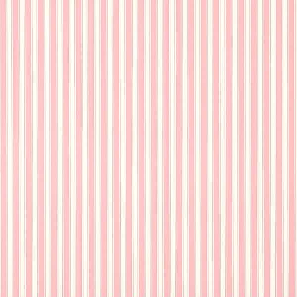 New Tiger Stripe - Rose/Ivory