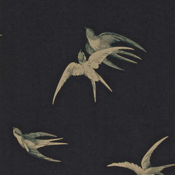 Swallows - Black