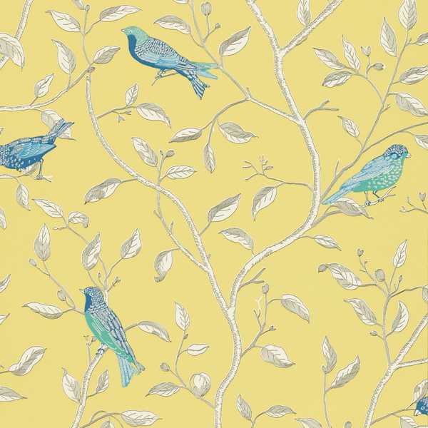 Finches - Yellow