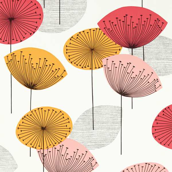 Dandelion Clocks - Coral