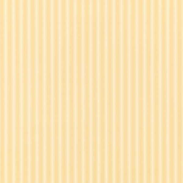 New Tiger Stripe - Honey/Cream