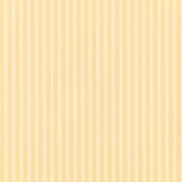 New Tiger Stripe - Honey/Cream