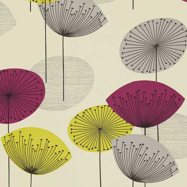 Dandelion Clocks - Blackcurrant