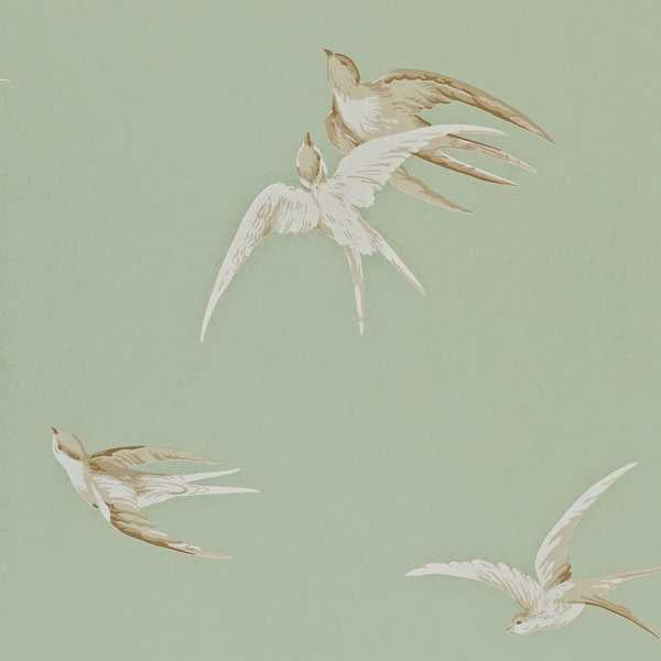 Swallows - Pebble