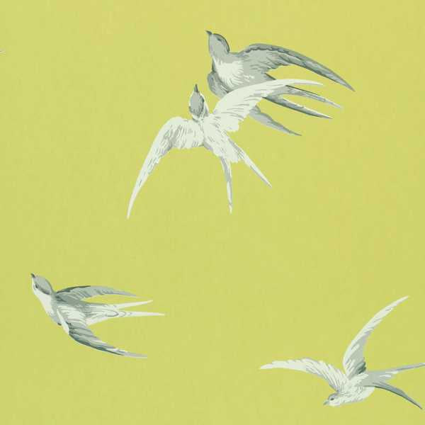 Swallows - Lime