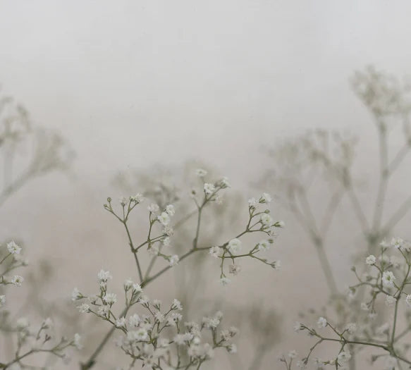 Julia - Spring Green
