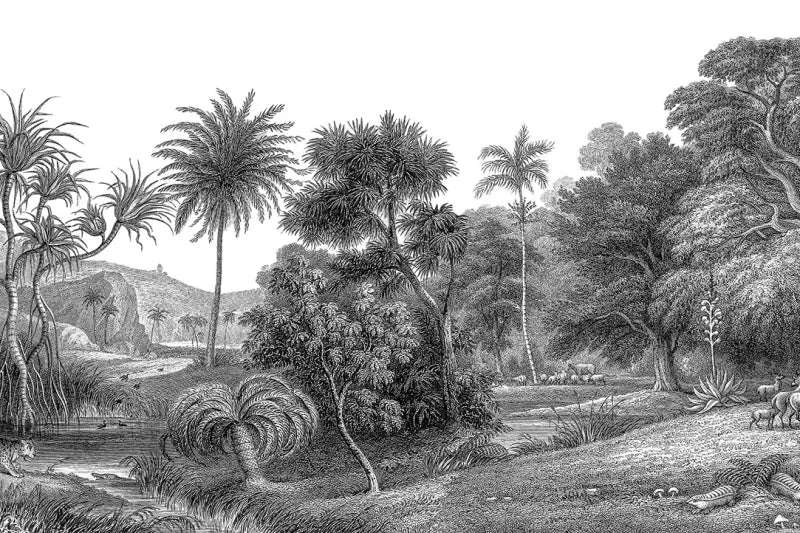 Jungle Land