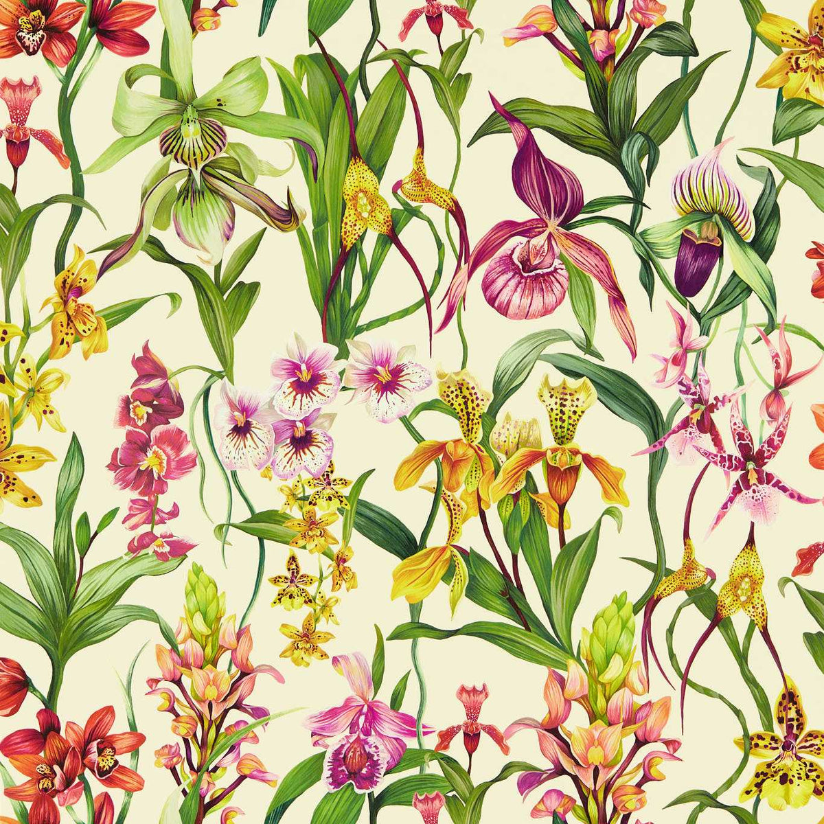 Kalina - Parchment/Forest/Azalea