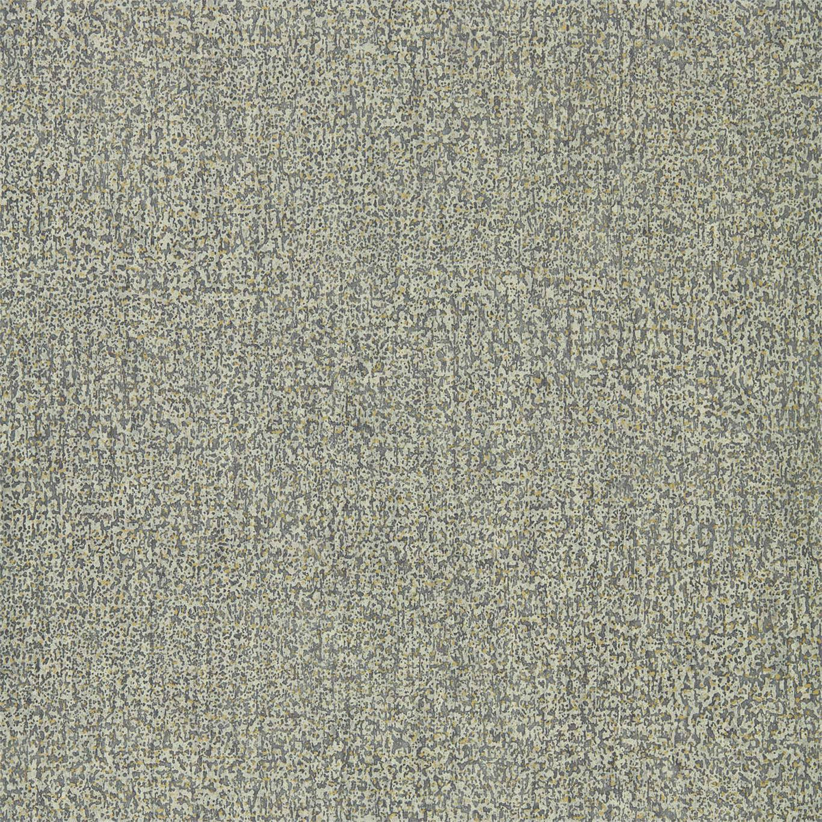 Kauri - Fossil