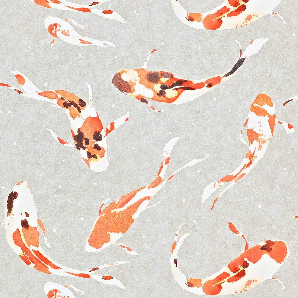 Koi - Paprika
