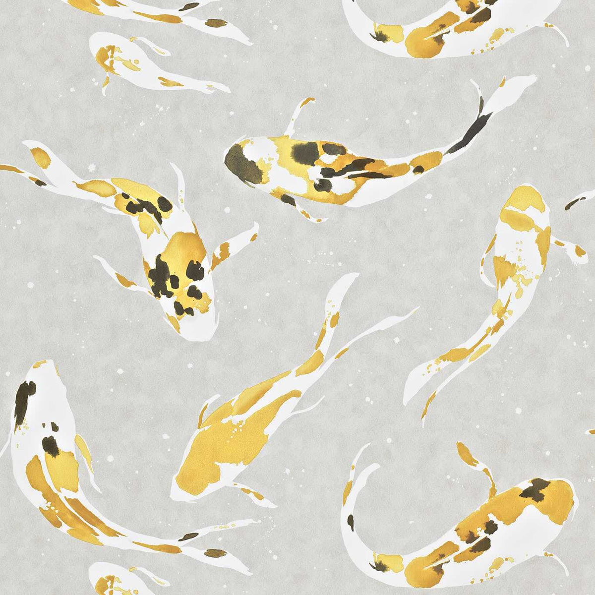 Koi - Saffron