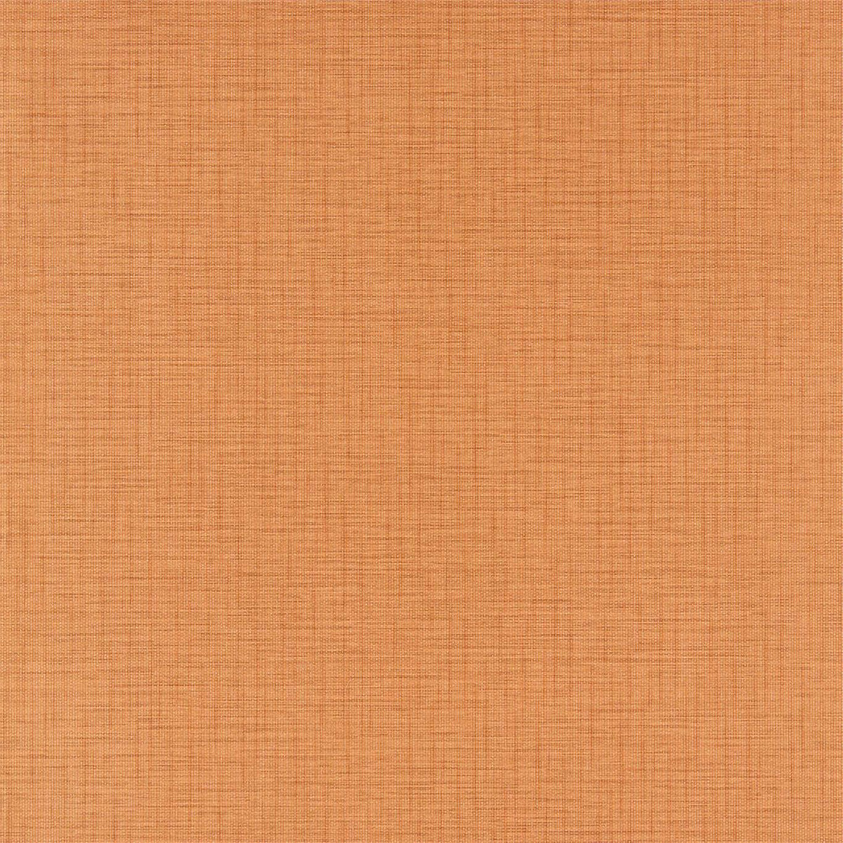 Lint - Rust