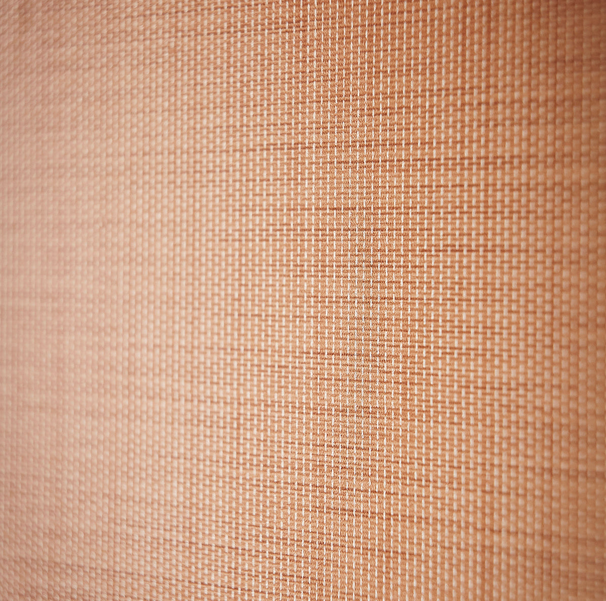 Lint - Rust