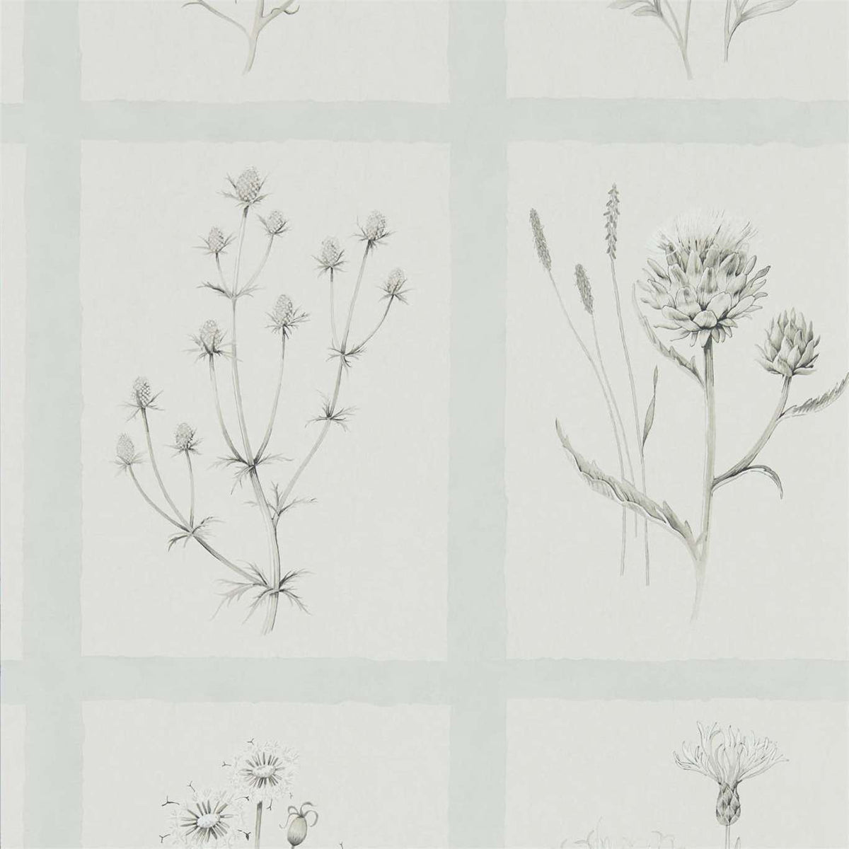 Little Thistles - Grey/Blue