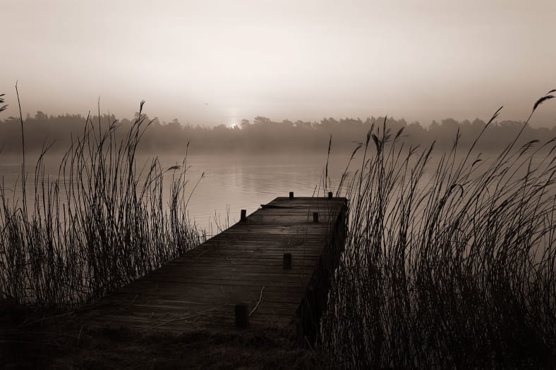 Misty Lake