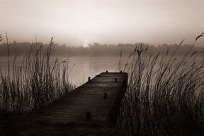 Misty Lake