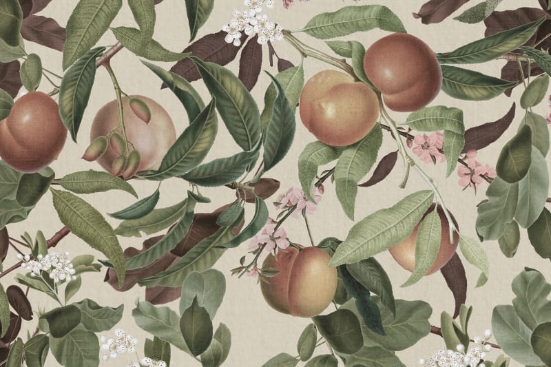 Peach Valley - Sand