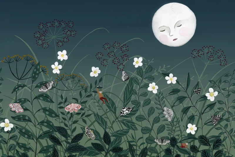 Pixie - Night