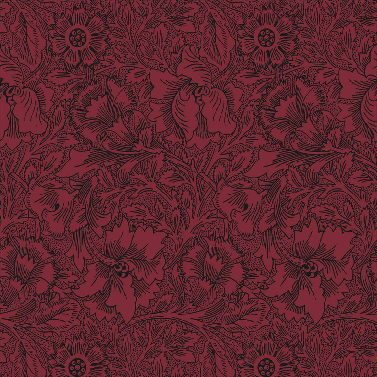 Poppy - Claret