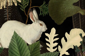 Rabbit Hole - Moss