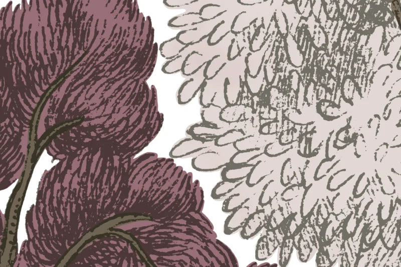 Scandinavian Bellewood - Dawn