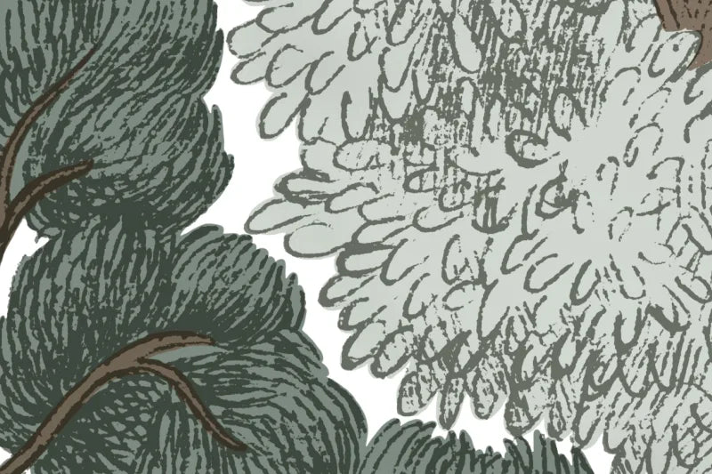 Scandinavian Bellewood - Frost