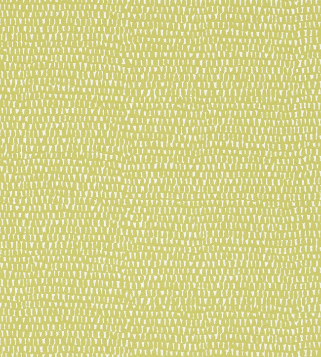 Totak - Kiwi