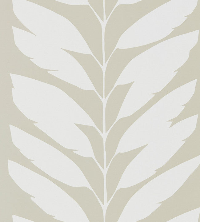 Malva - Parchment
