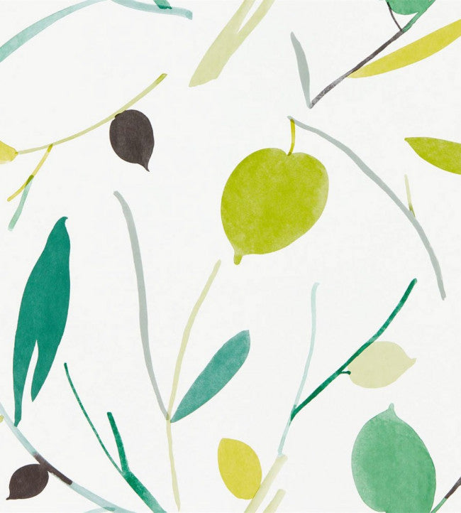 Oxalis - Kiwi/Juniper