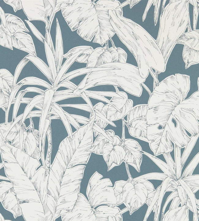 Parlour Palm - Charcoal