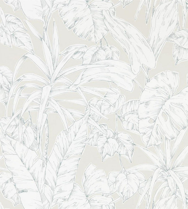 Parlour Palm - Raffia