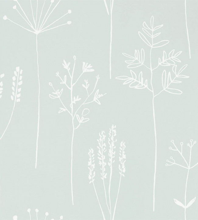 Stipa - Frost