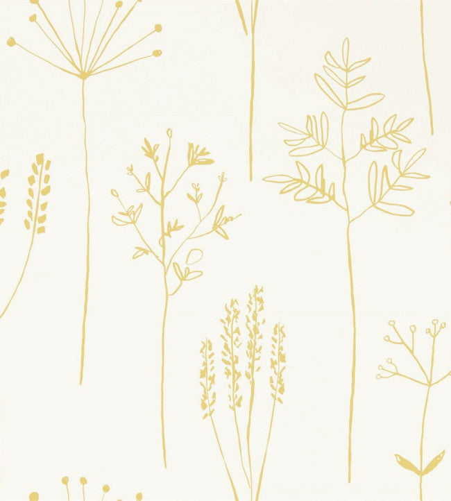 Stipa - Honey