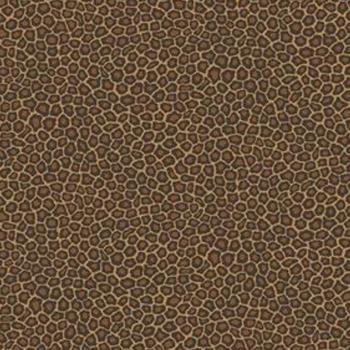 Senzo Spot - Brown