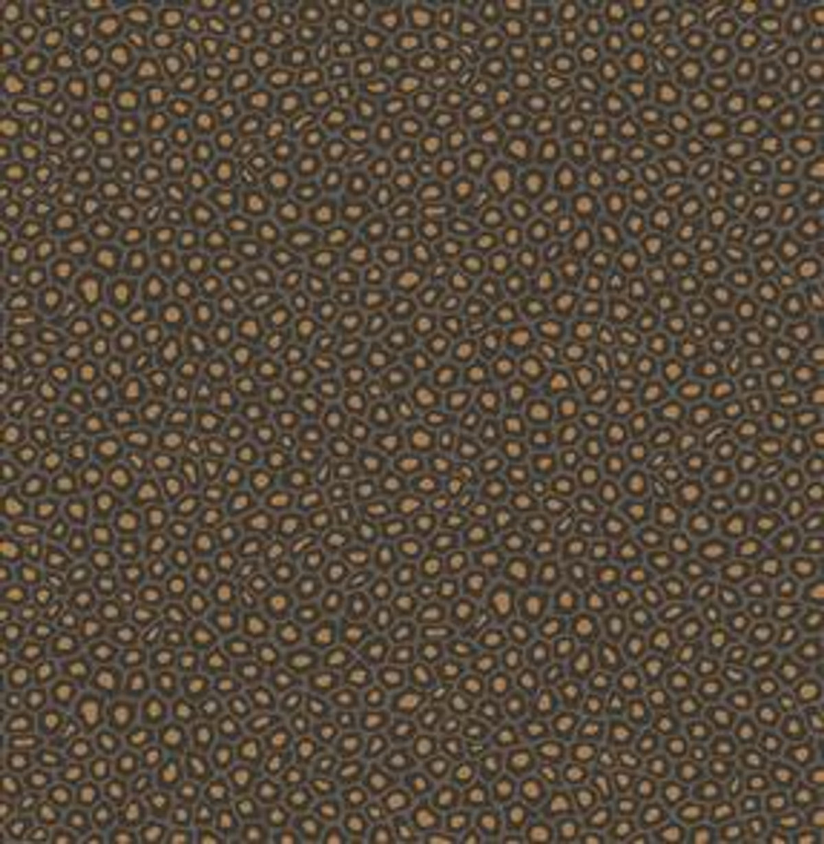 Senzo Spot - Gold