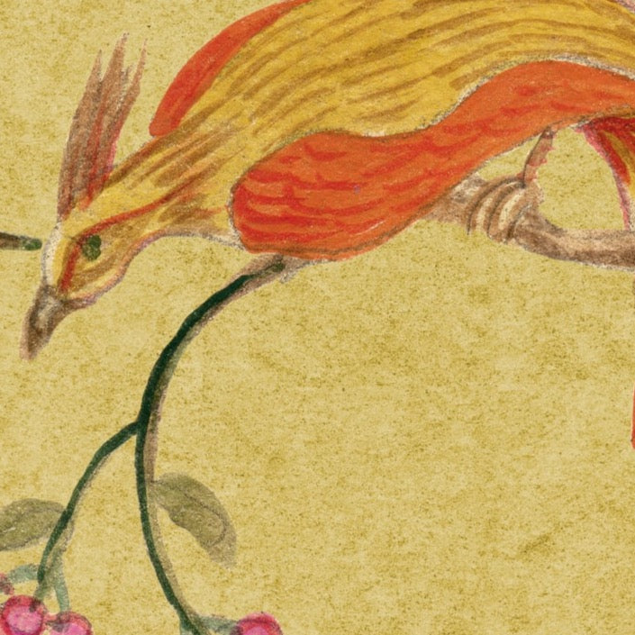 Songbirds - Saffron