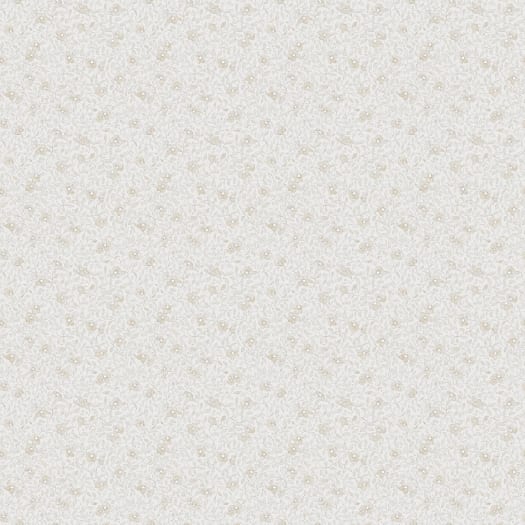 Stella - Sandstone