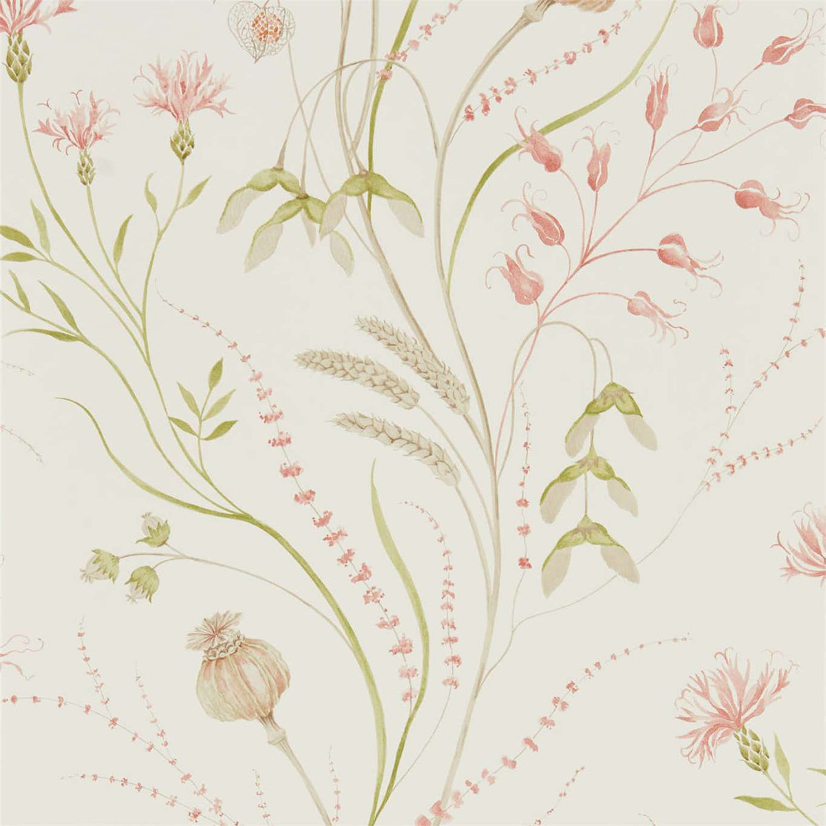 Summer Harvest - Claret/Olive